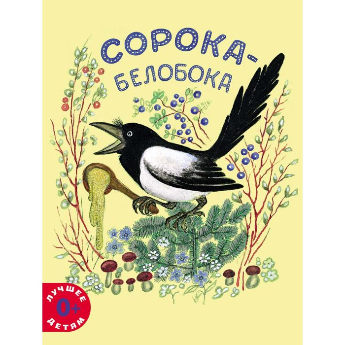 Сорока-белобока 